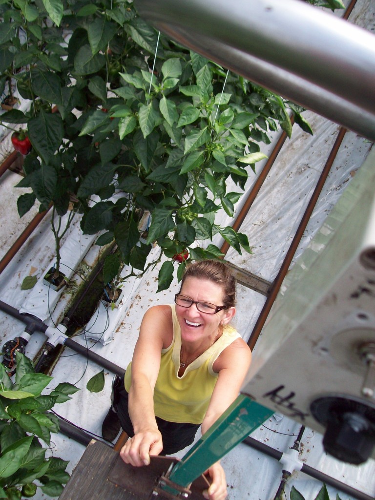 Fiesta Greenhouses Vancouver Island Farm Products